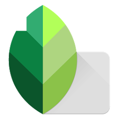 snapseed mod apk